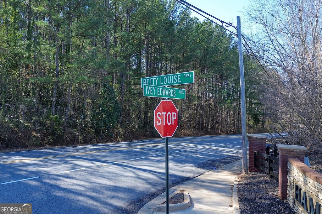 544 Overo Drive McDonough - Photo 39