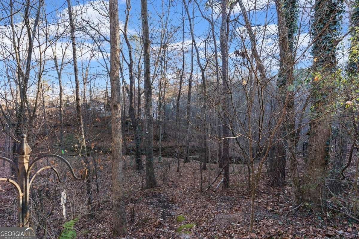 175 Gellmore Lane Acworth - Photo 63