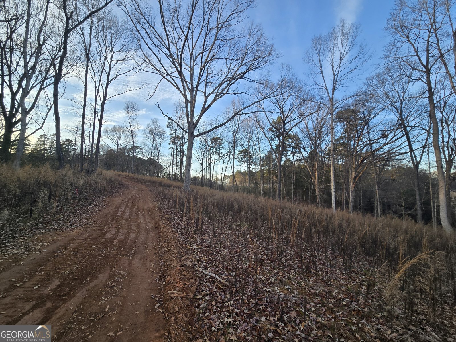 1532 Shoal Creek Church Road Lavonia - Photo 24