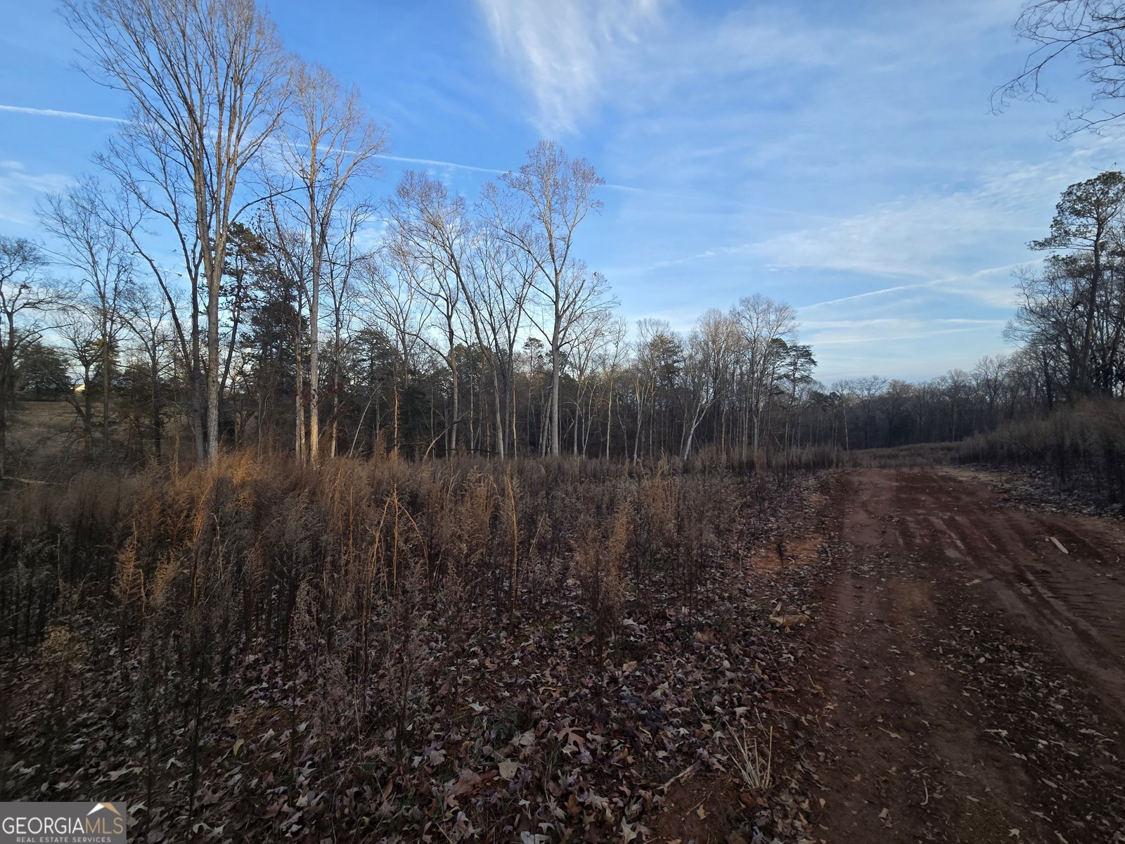 1532 Shoal Creek Church Road Lavonia - Photo 25