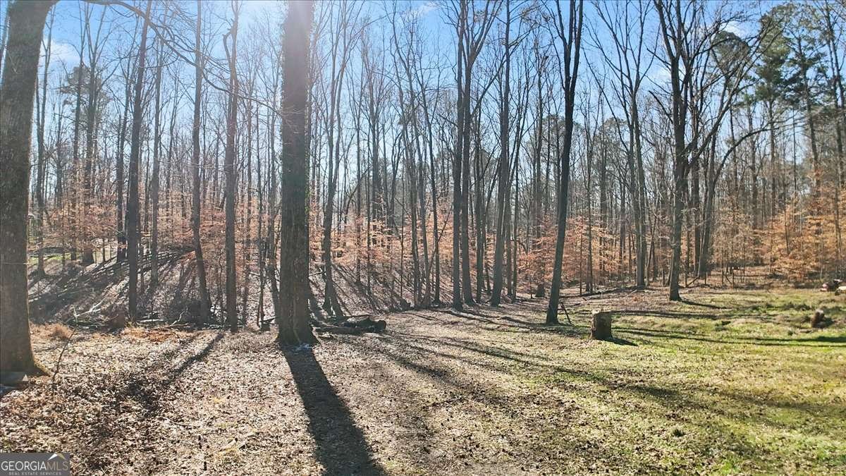 1468 Trinity Church Road Canton - Photo 42