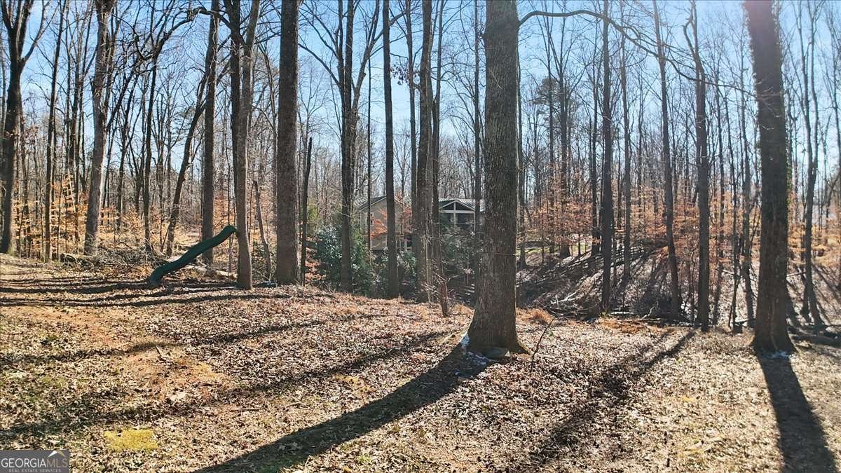 1468 Trinity Church Road Canton - Photo 43