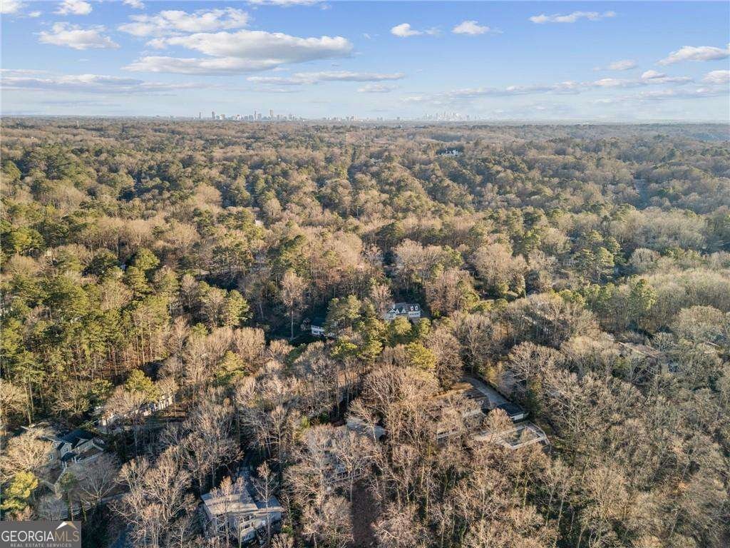 1095 Edgewater Drive Sandy Springs - Photo 52