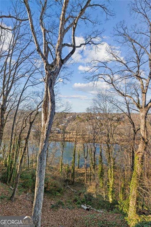 1095 Edgewater Drive Sandy Springs - Photo 61