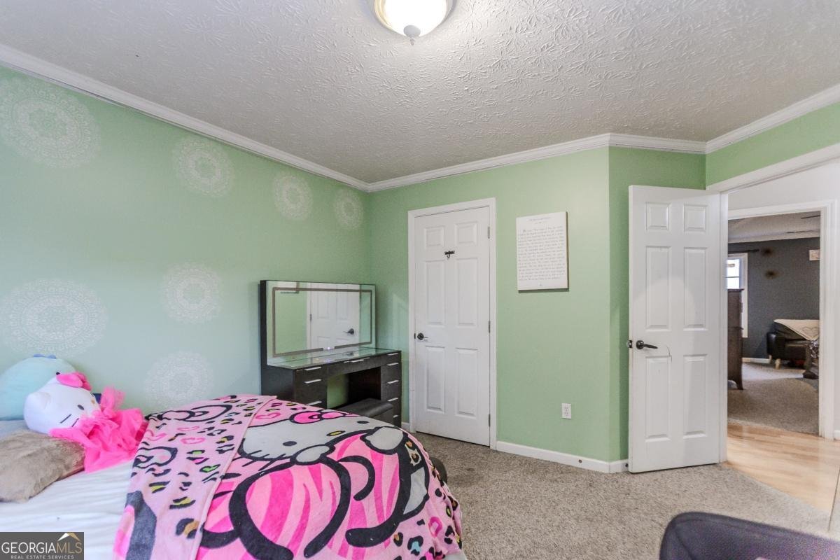 2790 Alcovy River View Dacula - Photo 20