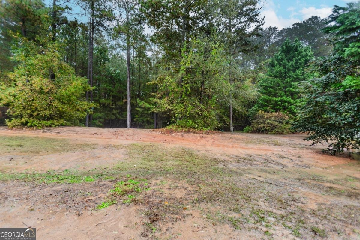 2790 Alcovy River View Dacula - Photo 24