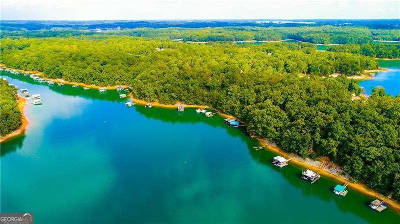 2330 Black Bear Court Buford - Photo 63