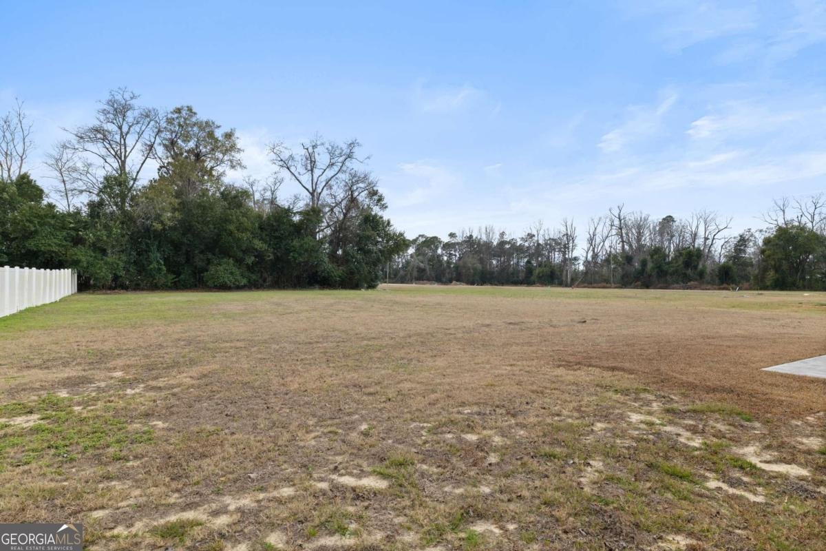 103 Abbie Lane Glennville - Photo 27