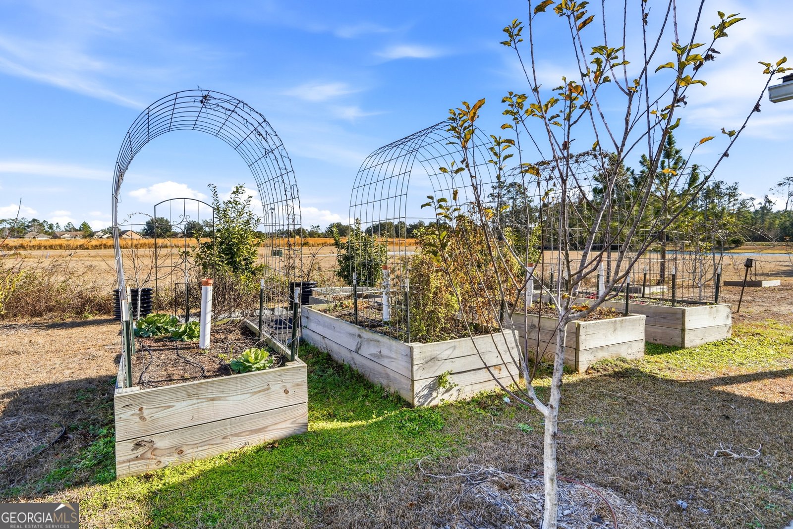 110 Dekan Avenue Brunswick - Photo 35