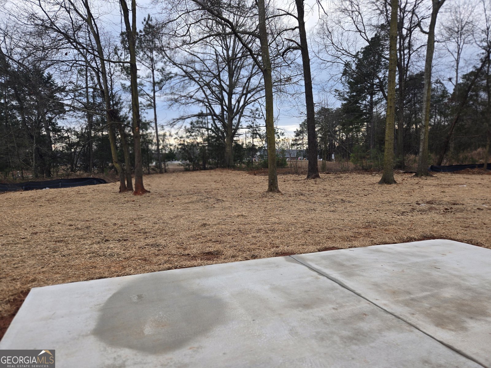 30 Preserve Trail Lavonia - Photo 30