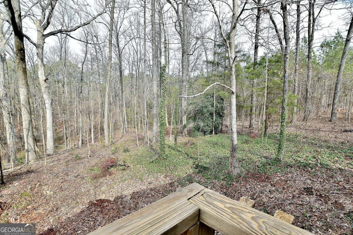 760 Hamilton Mulberry Grove Road Cataula - Photo 21