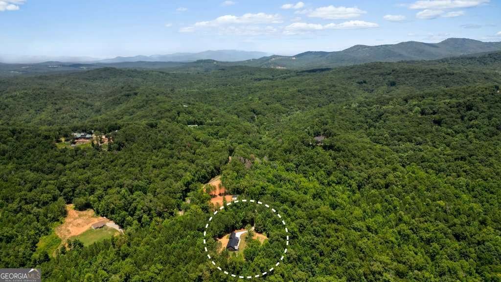 60 Dovetail Lane Talking Rock - Photo 55