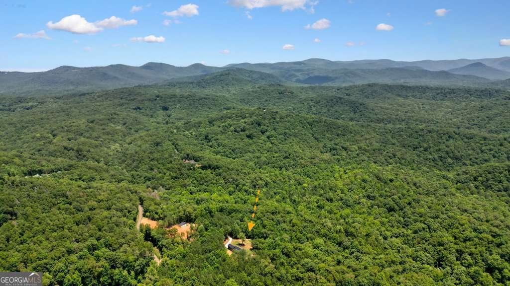 60 Dovetail Lane Talking Rock - Photo 57