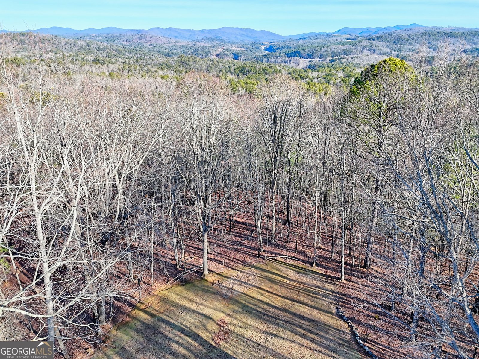 330 Scarlet Lane Lakemont - Photo 39