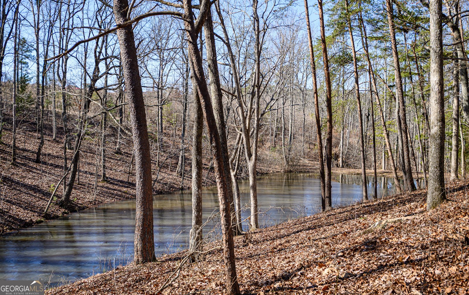 2840 Tallapoosa Highway Cedartown - Photo 15