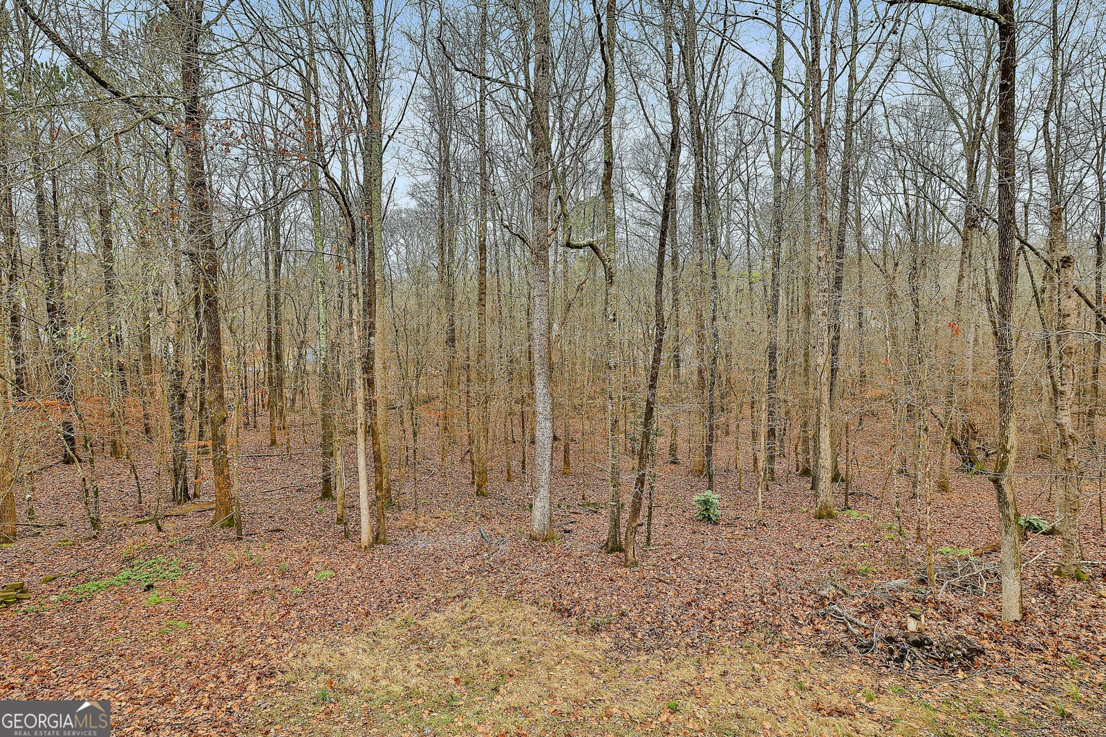 70 Wilkes Court Newnan - Photo 34