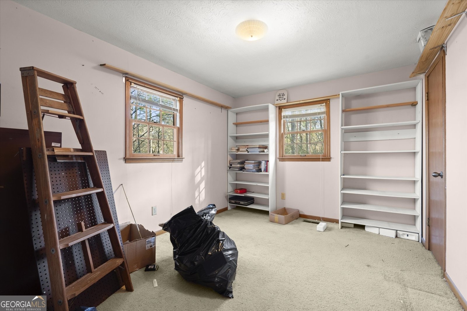 154 Dials Drive Woodstock - Photo 25