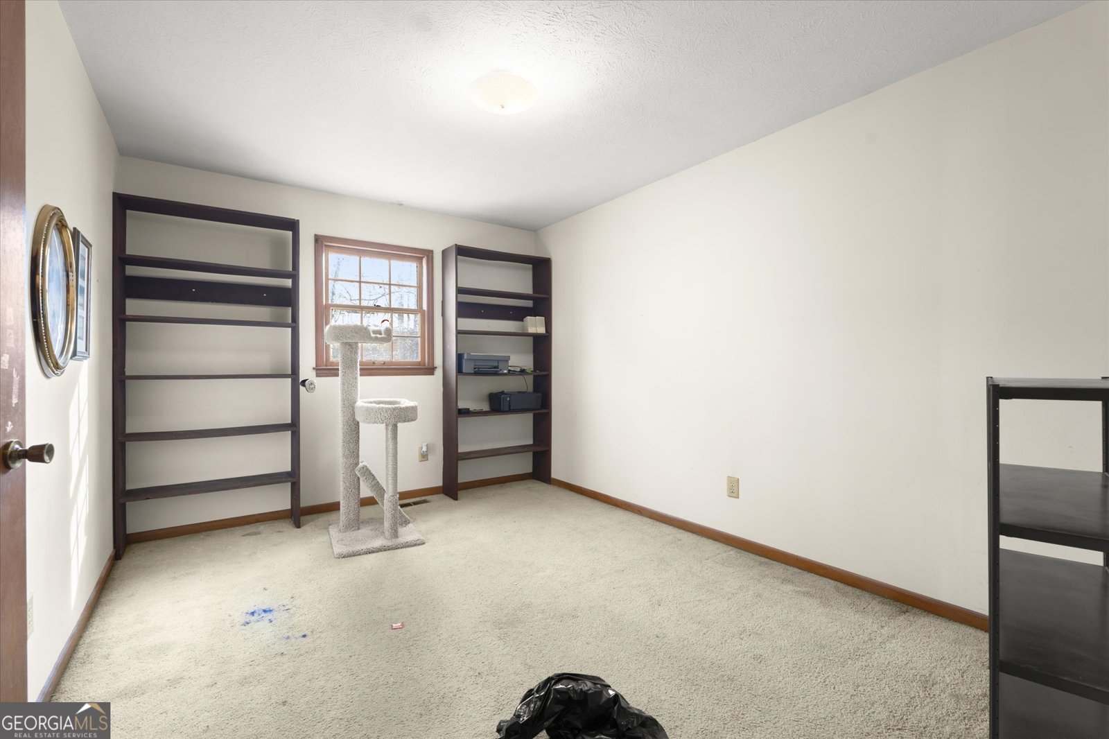 154 Dials Drive Woodstock - Photo 27