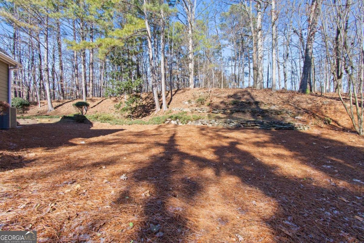 2330 Bexford View Cumming - Photo 45