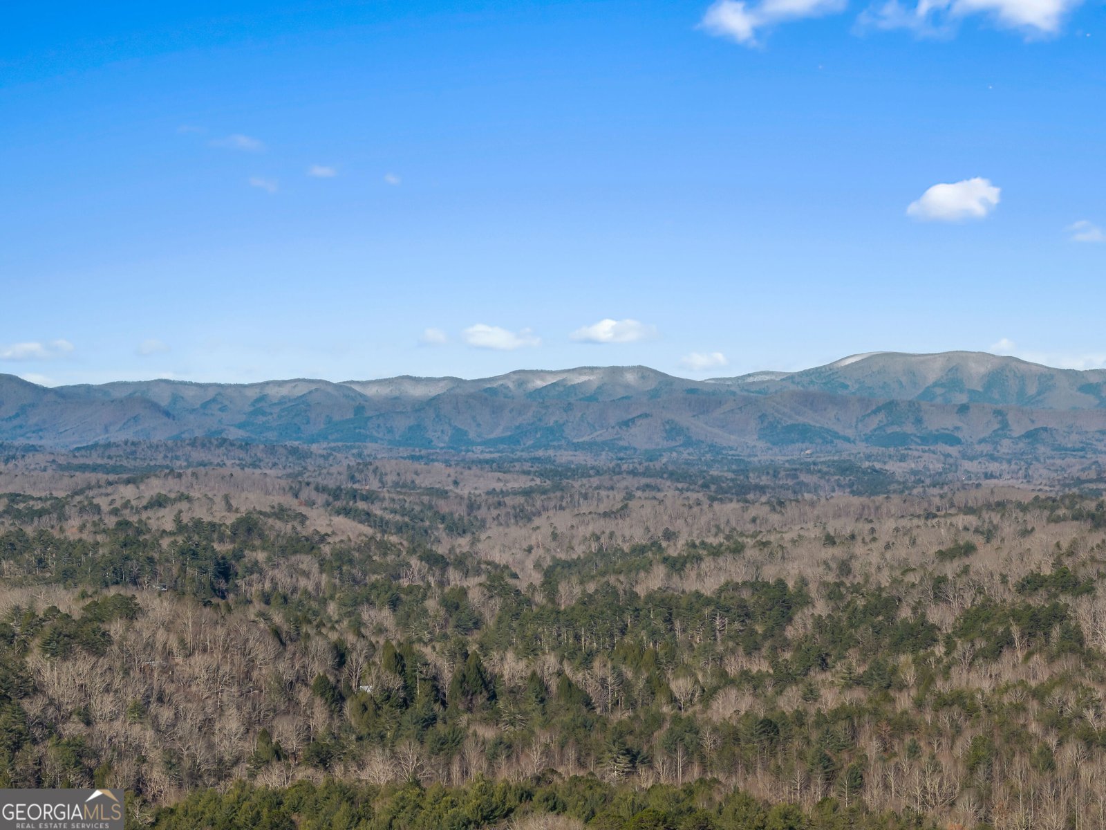 50 Thrasher Drive Blue Ridge - Photo 10