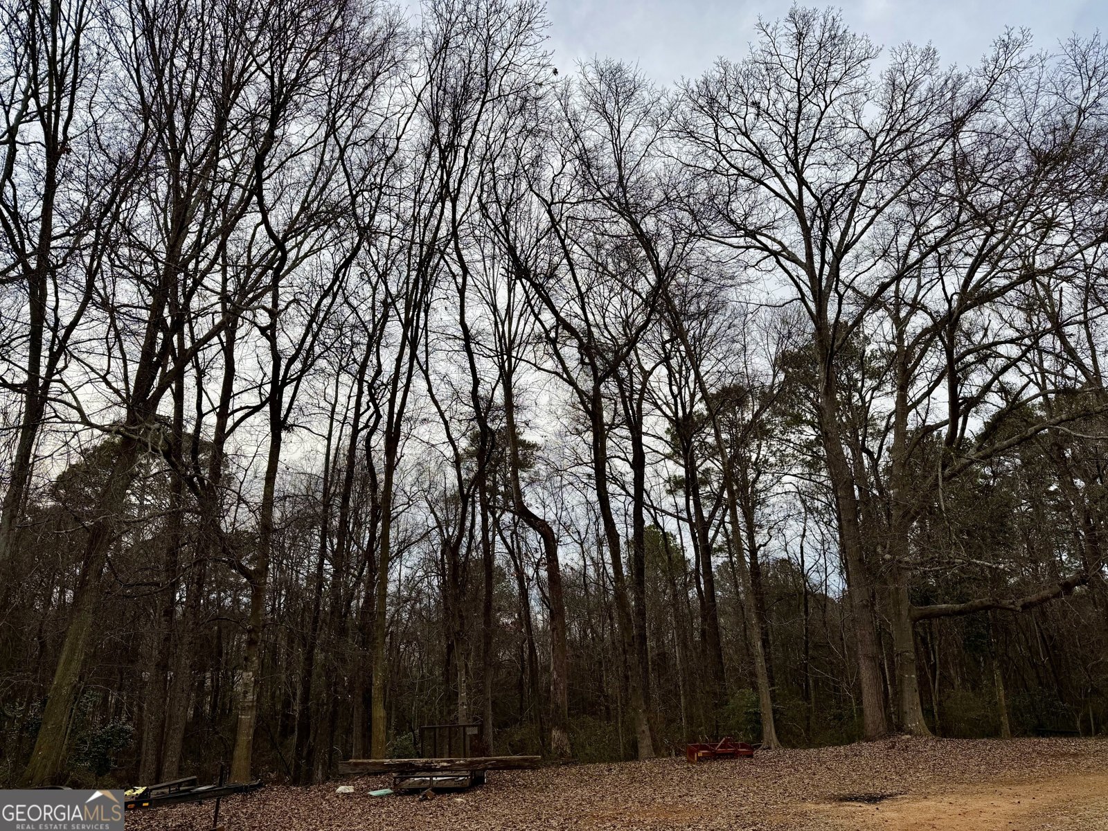 2267 Hartwell Highway Elberton - Photo 41