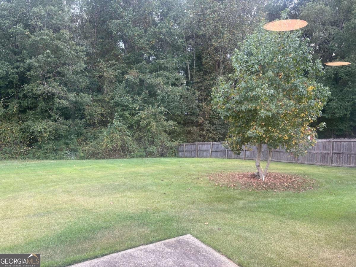 6045 Bear Drive Douglasville - Photo 28