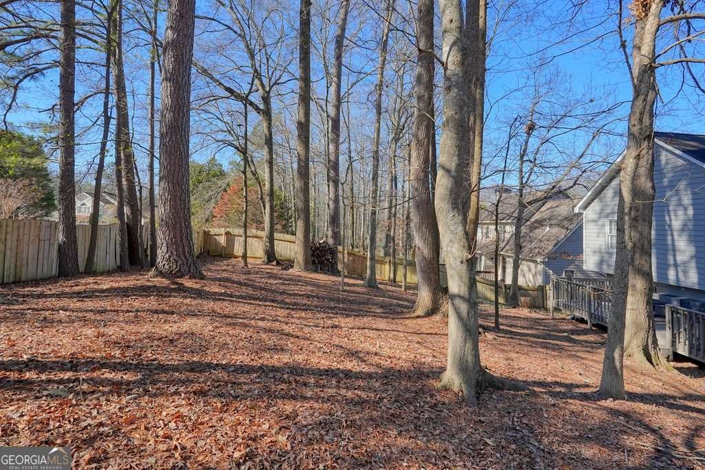 3469 Hollow Stream Trail Powder Springs - Photo 47