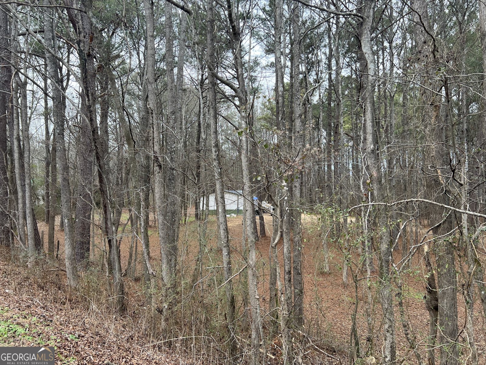 163 Bryant Road Summerville - Photo 28