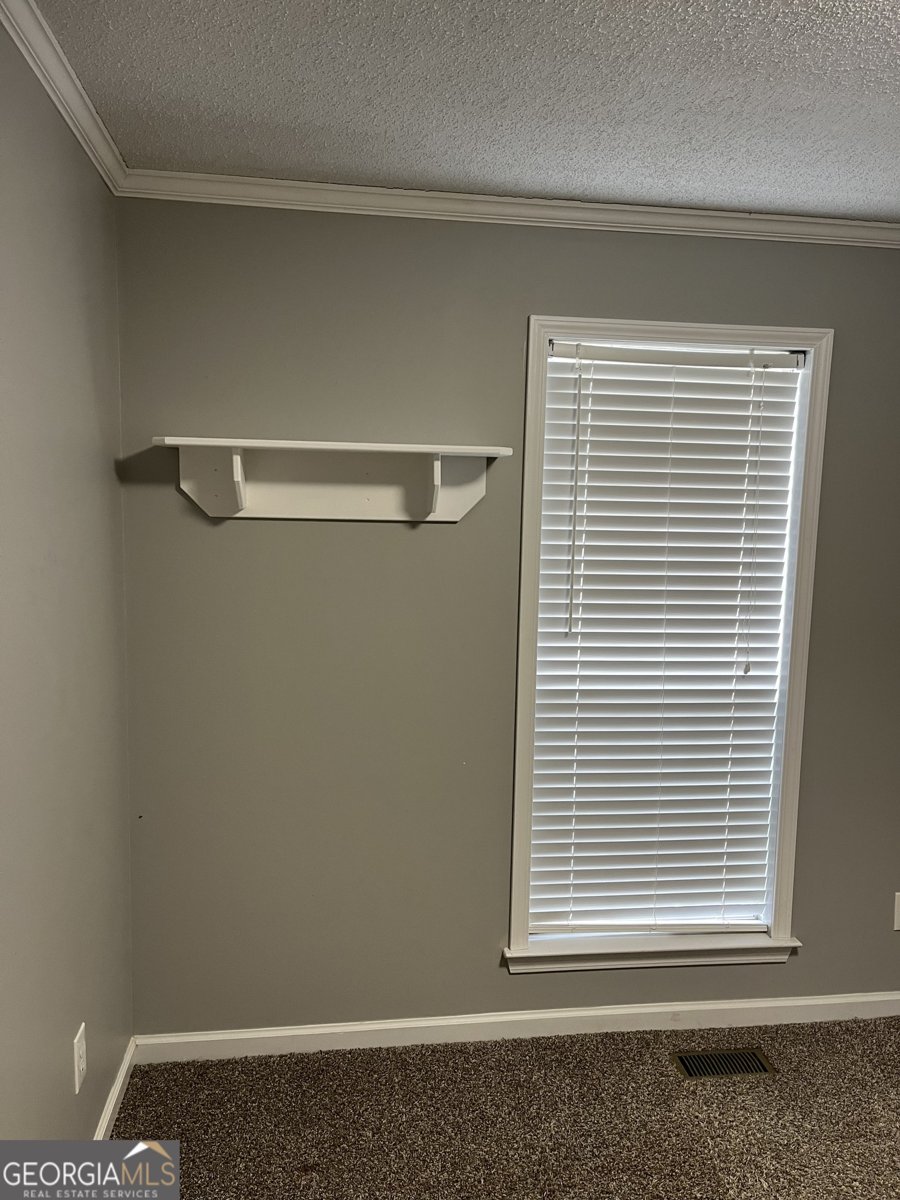 111 Green Point Way Carrollton - Photo 15