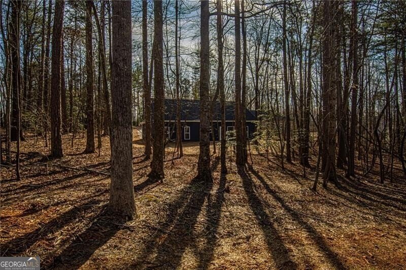 100 Kings Crossing Drive Dawsonville - Photo 34