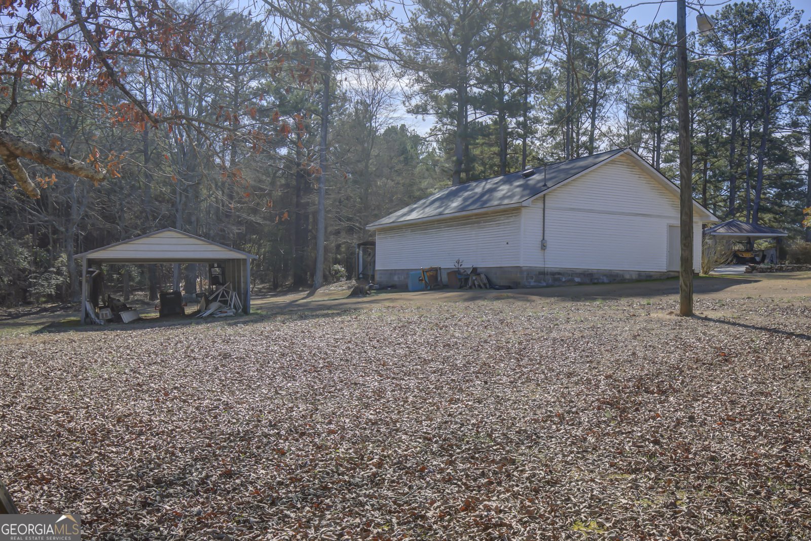 377 Dogwood Trail Tyrone - Photo 10