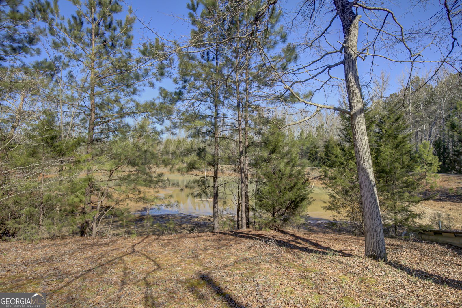 377 Dogwood Trail Tyrone - Photo 9