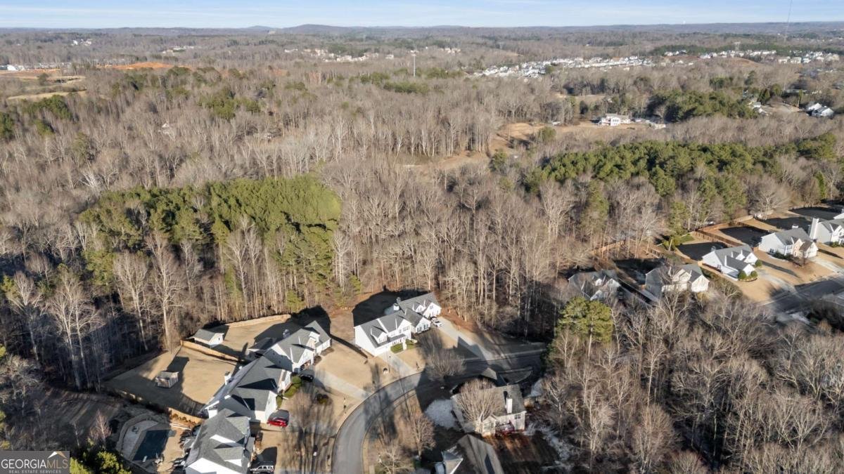 7270 Litany Court Flowery Branch - Photo 49