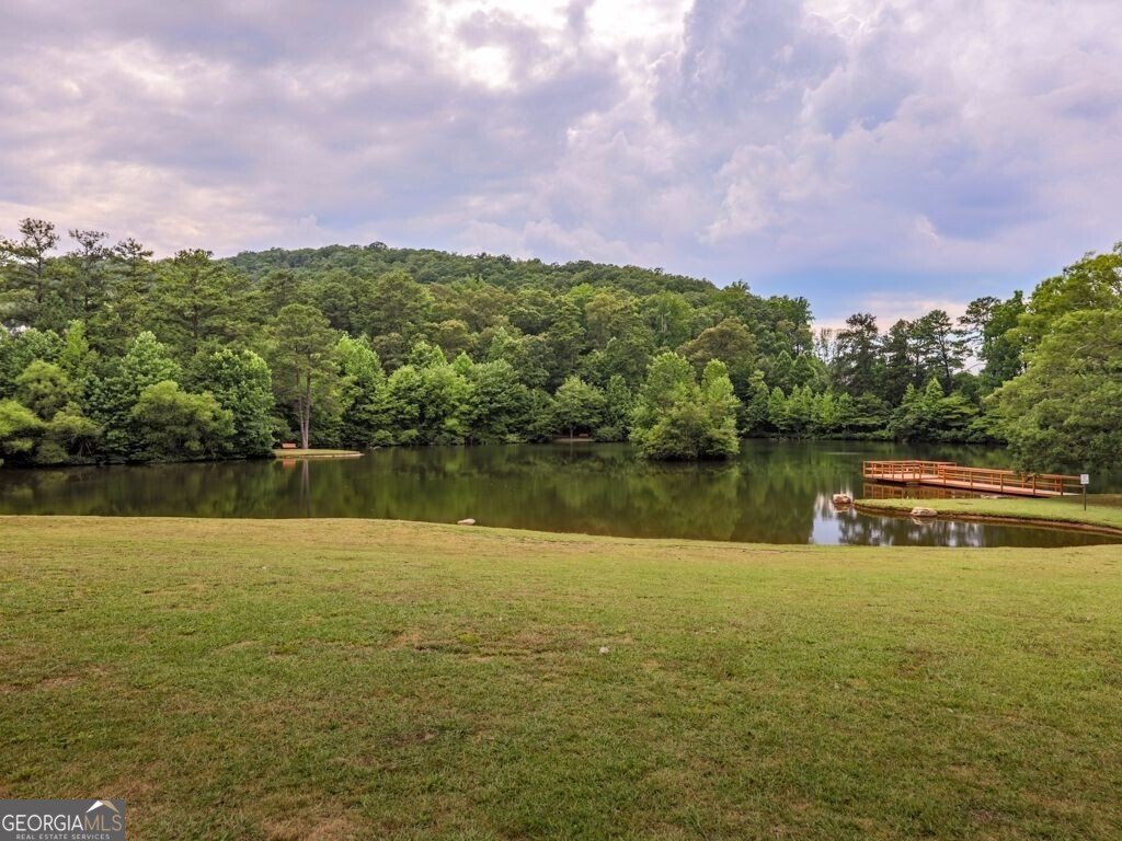 607 Tall Timbers Woodstock - Photo 39