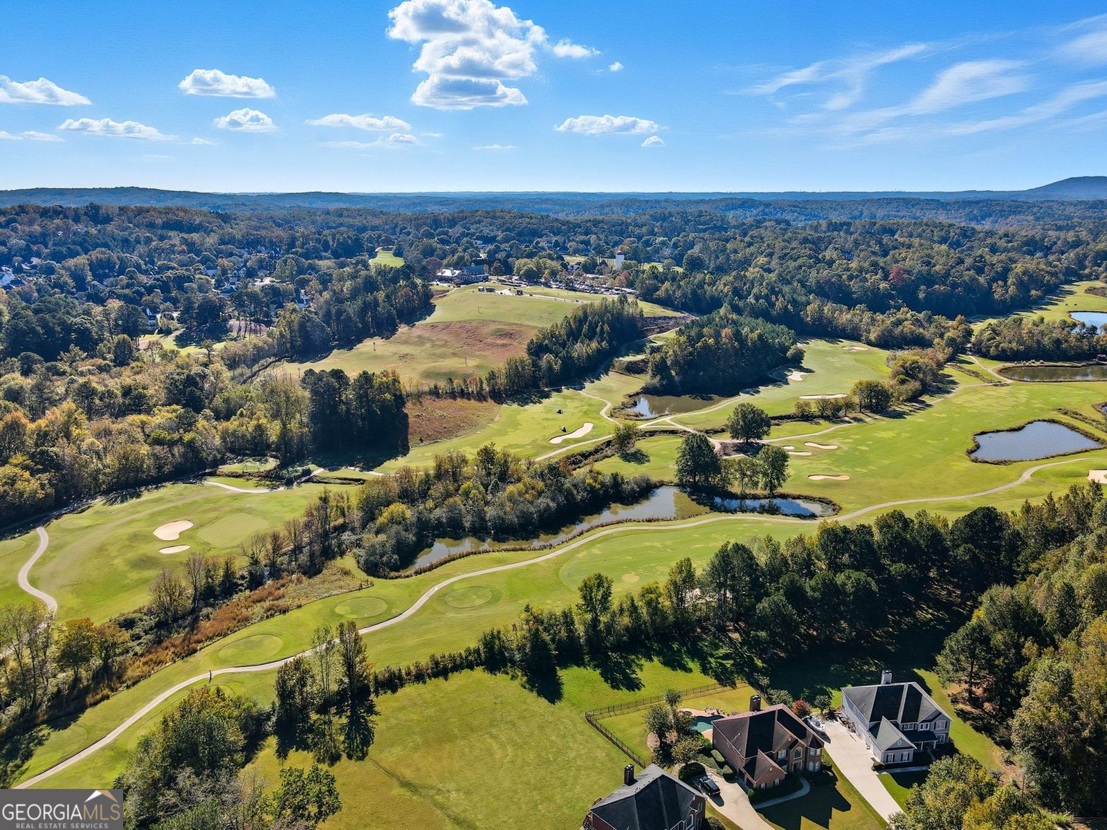 602 Crabapple Court Canton - Photo 58