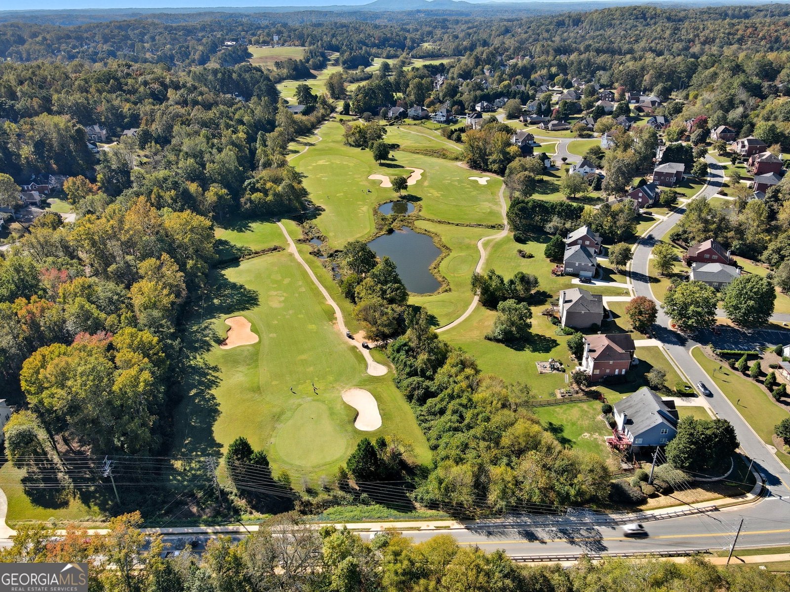 602 Crabapple Court Canton - Photo 63