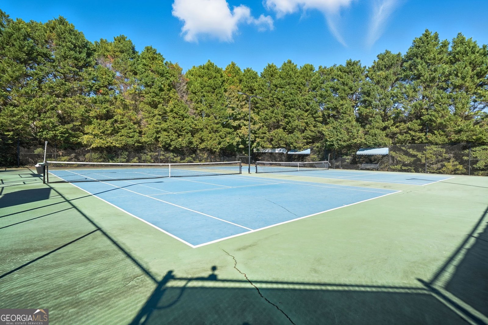 602 Crabapple Court Canton - Photo 68