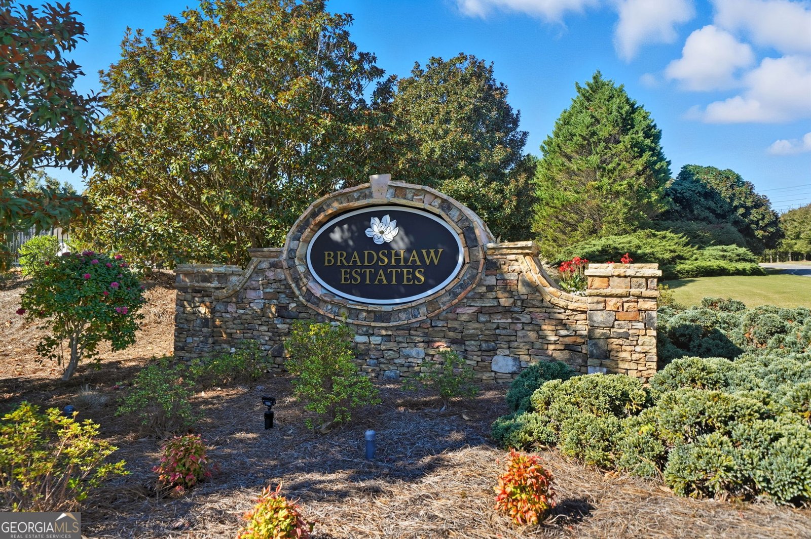 602 Crabapple Court Canton - Photo 69