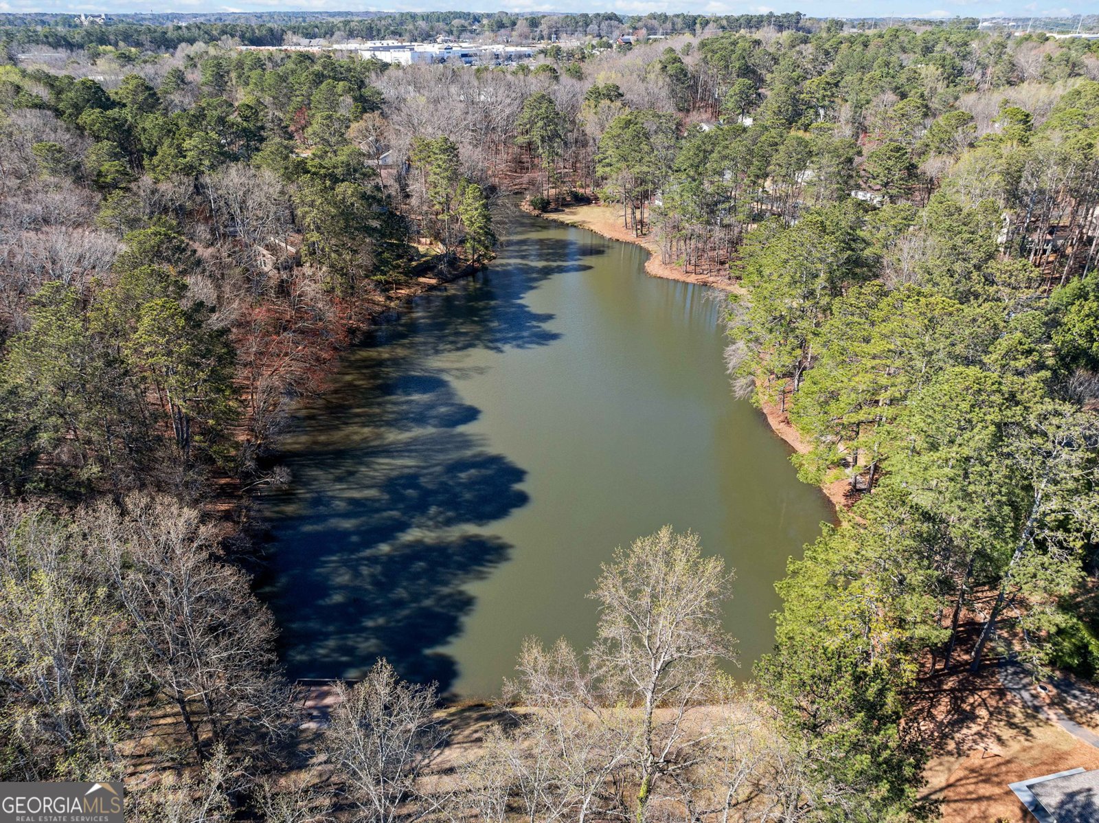 8975 Martin Road Roswell - Photo 30