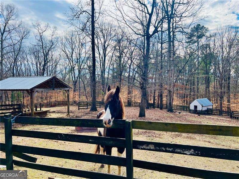 1020 Old Lathemtown Road Canton - Photo 59