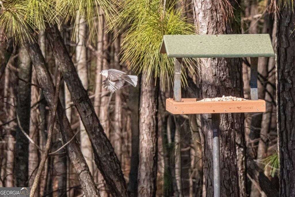 152 Summit Trail Dallas - Photo 36