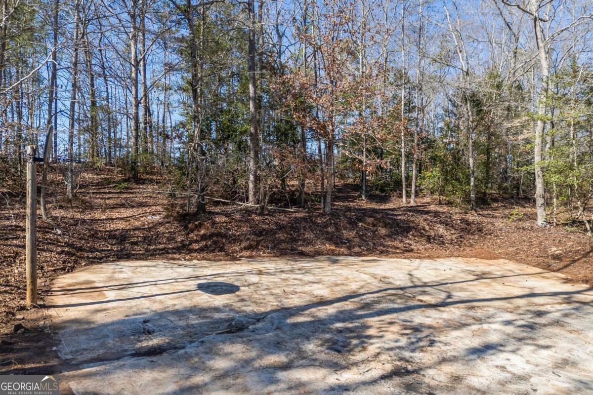 737 Broad River Road Carlton - Photo 11