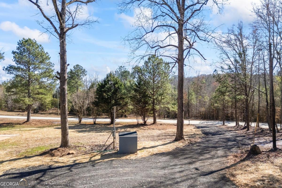 737 Broad River Road Carlton - Photo 13