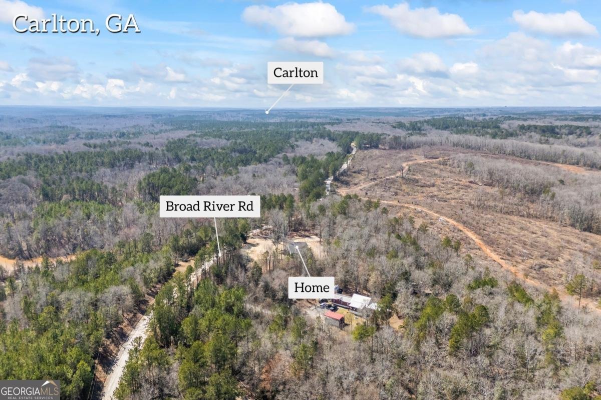 737 Broad River Road Carlton - Photo 24