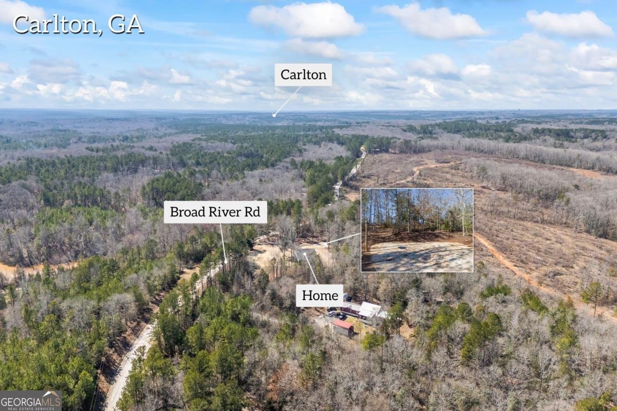 737 Broad River Road Carlton - Photo 25