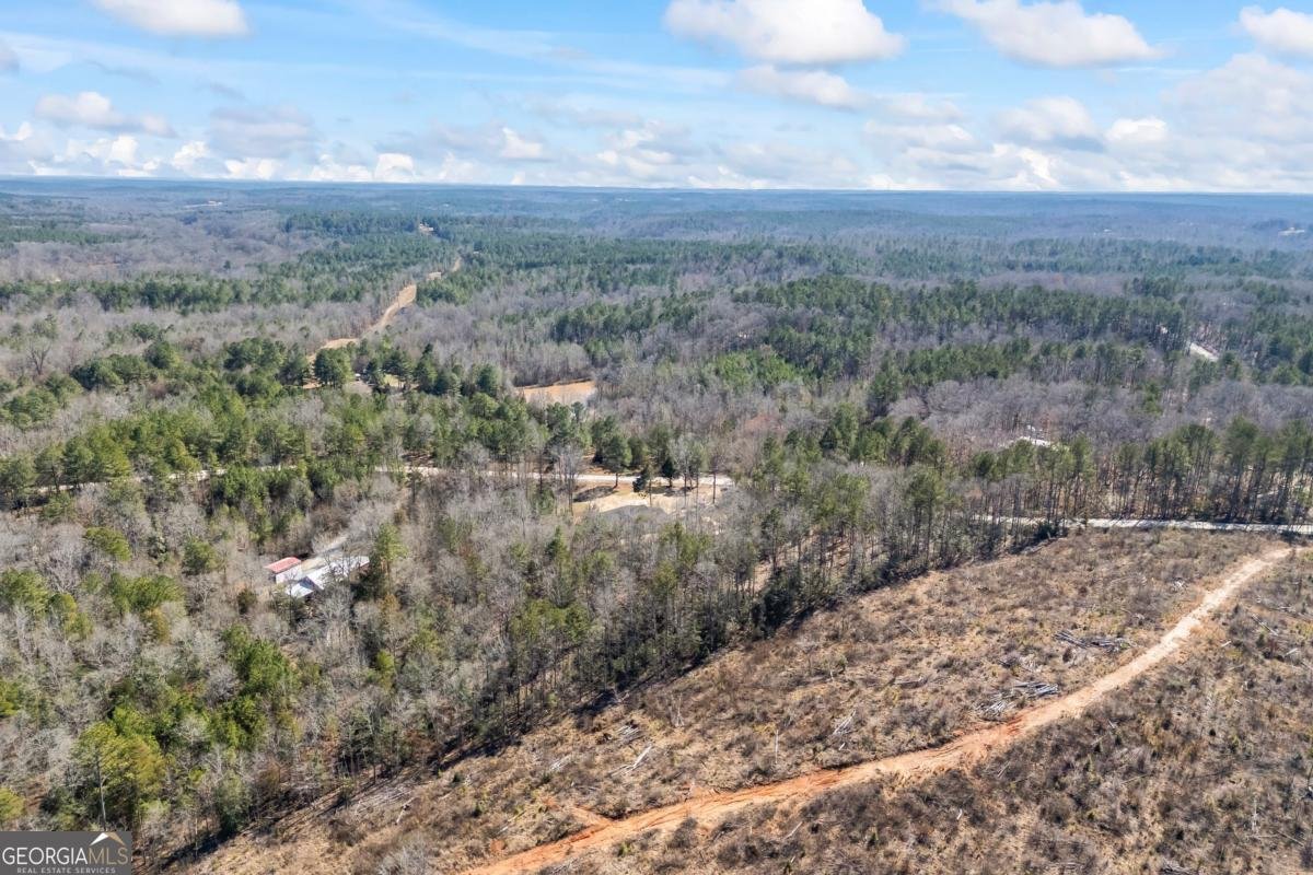 737 Broad River Road Carlton - Photo 26