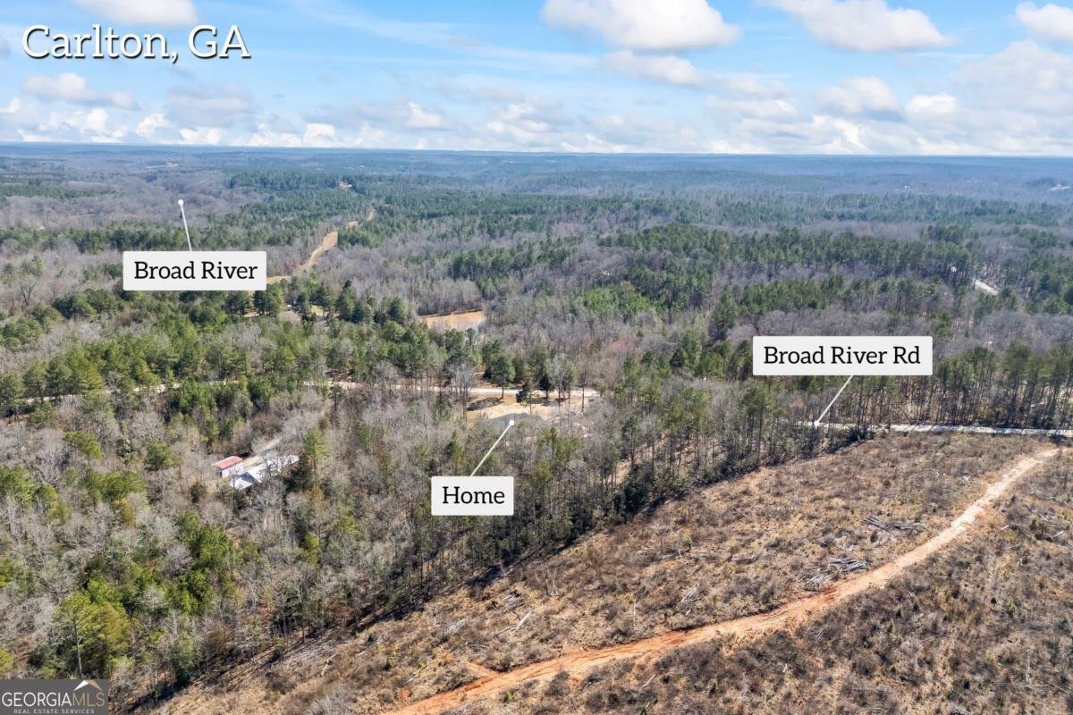 737 Broad River Road Carlton - Photo 27