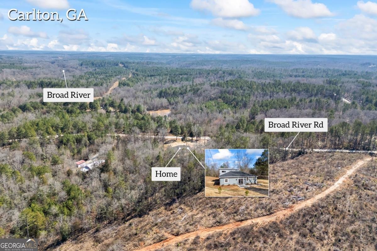 737 Broad River Road Carlton - Photo 29