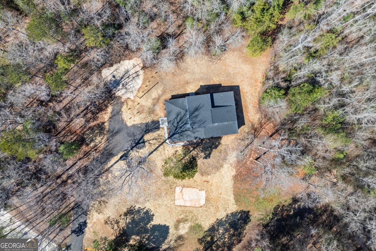 737 Broad River Road Carlton - Photo 31