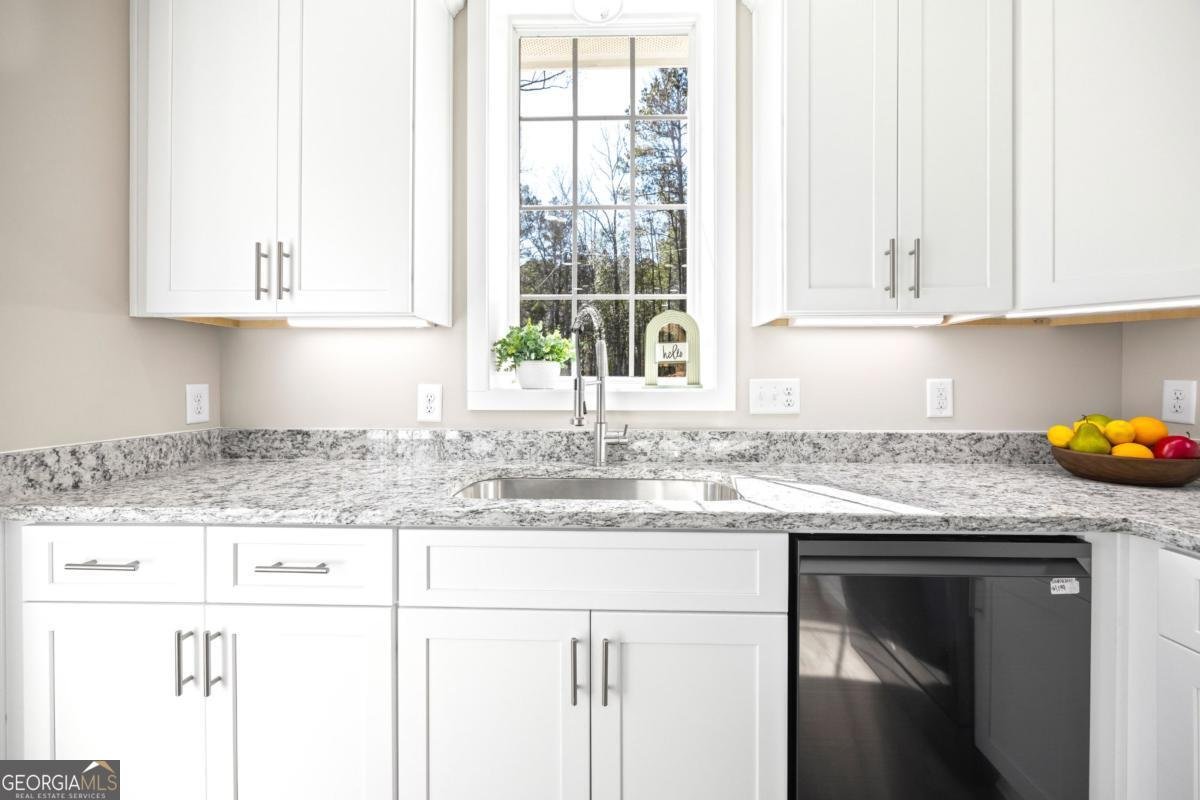 737 Broad River Road Carlton - Photo 50